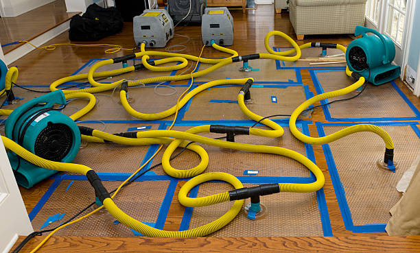 Professional Storm Water Damage Restoration technician working in Dyer, IN